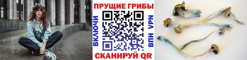 Галлюциногенные грибы GOLDEN TEACHER  Купить где  Ханты-Мансийск 